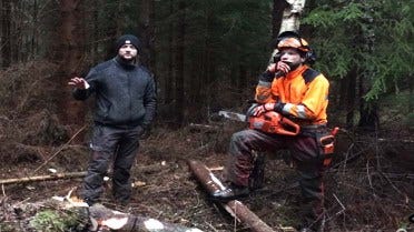 Swedish Homestead: How to Manage a Forest